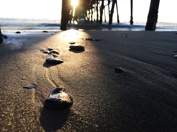 ZEISS เปิดตัวเลนส์ ExoLens