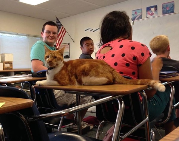 ภาพจาก เฟซบุ๊ก Bubba the Cat