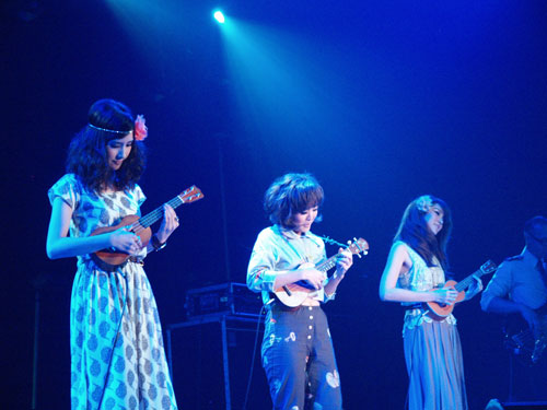 Fatlive Armchair Fatlive Armchair