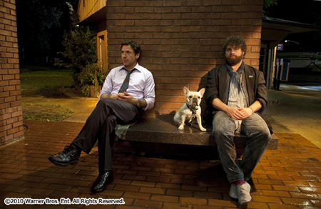 Due Date
