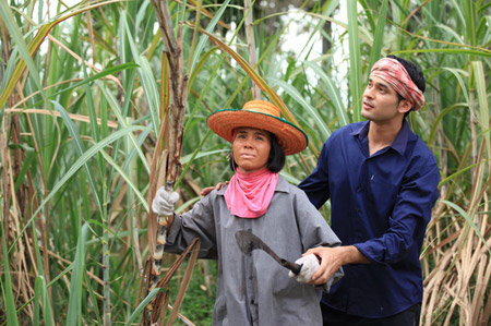 อีนางเอ๊ย เขยฝรั่ง