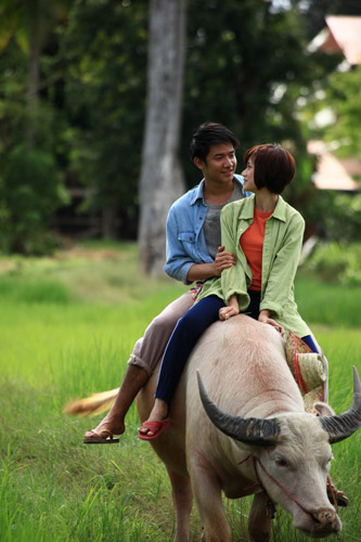 อีนางเอ๊ย เขยฝรั่ง