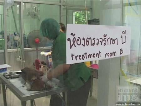 ค้าสุนัข