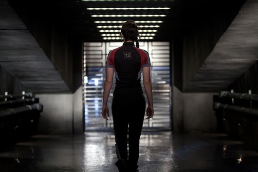 The Hunger Games the hunger games