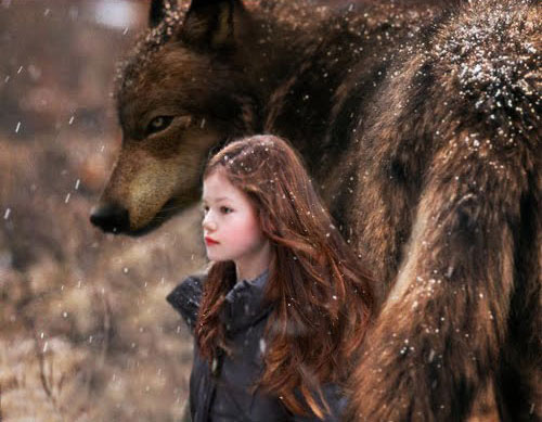 twilight breaking dawn part 2