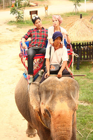 วู้ดดี้ - แตงโม