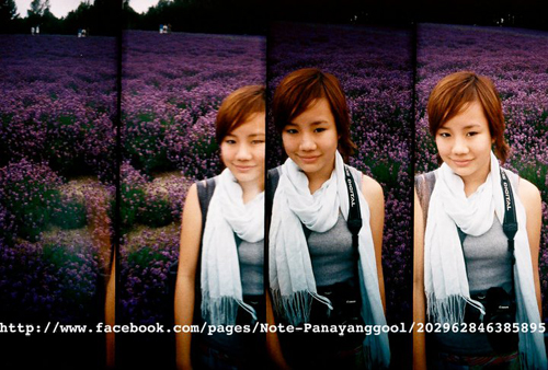 นท the star 7 นท the star 7