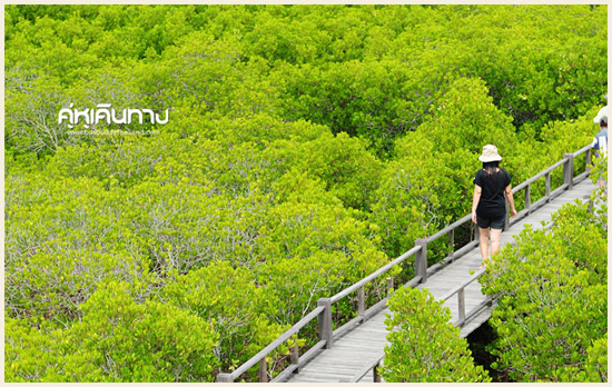ปราณบุรี ปราณบุรี
