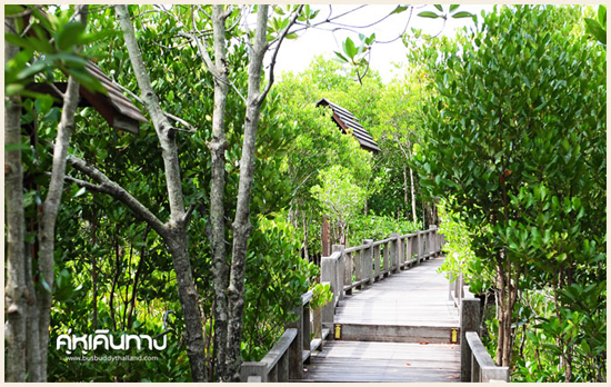 ปราณบุรี ปราณบุรี