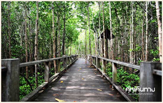 ปราณบุรี ปราณบุรี
