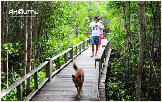 ปราณบุรี ปราณบุรี