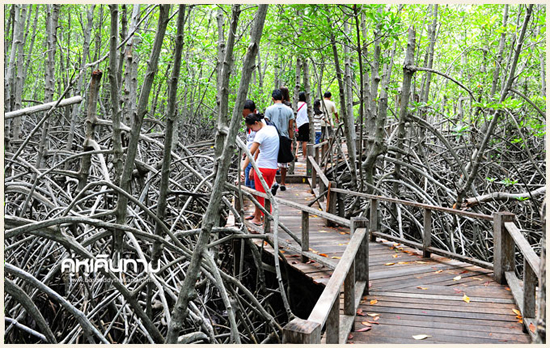 ปราณบุรี ปราณบุรี
