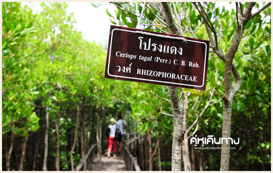 ปราณบุรี ปราณบุรี