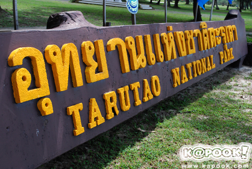 เกาะตะรุเตา เกาะตะรุเตา