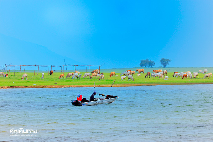 ขอนแก่น ขอนแก่น