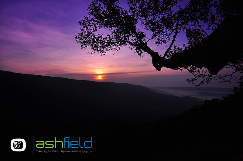 ผาเดียวดาย