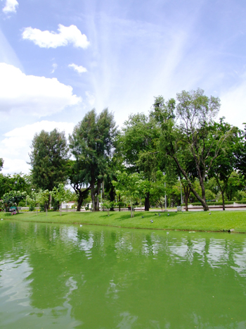 สวนลุมพินี สวนลุมพินี
