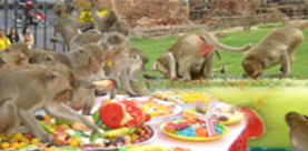 งานเลี้ยงโต๊ะจีนลิง งานเลี้ยงโต๊ะจีนลิง