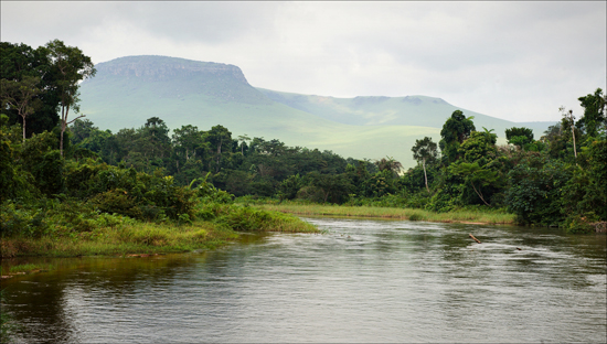 The Congo Basin The Congo Basin