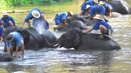 ลำปาง ลำปาง
