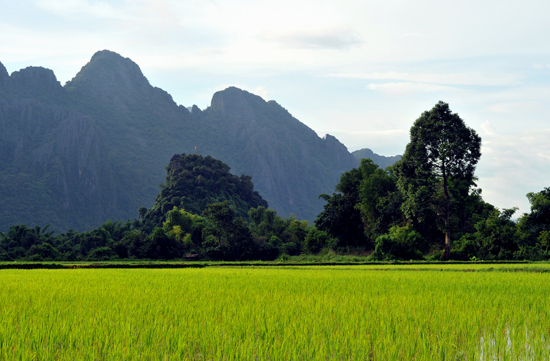 ลาว ลาว
