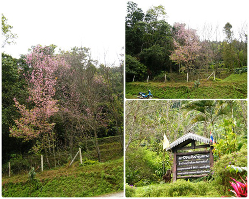 ดอยขุนสถาน ดอยขุนสถาน