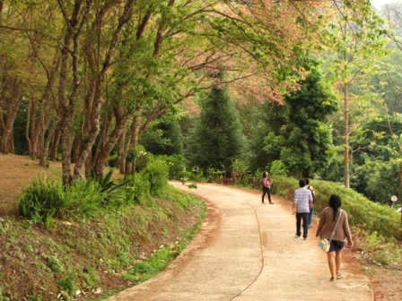 ดอยขุนสถาน ดอยขุนสถาน
