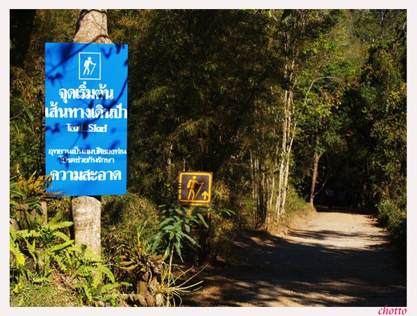 อุทยานแห่งชาติน้ำหนาว อุทยานแห่งชาติน้ำหนาว