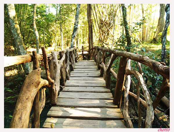 อุทยานแห่งชาติน้ำหนาว อุทยานแห่งชาติน้ำหนาว