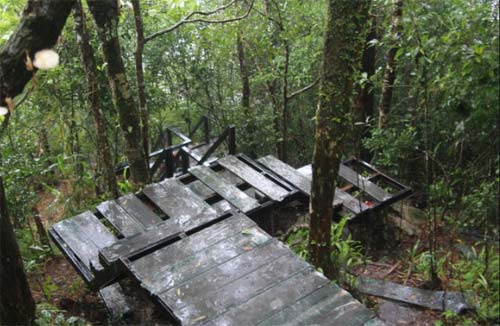 ผาเดียวดาย