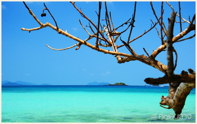 เกาะช้าง เกาะช้าง