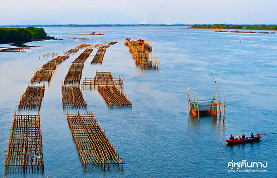 หาดเจ้าหลาว หาดเจ้าหลาว