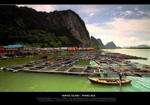 เกาะปันหยี เกาะปันหยี