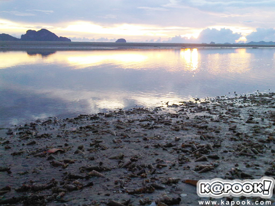 หาดปากเมง หาดปากเมง