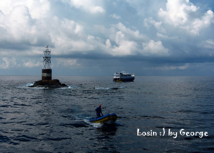 โลซิน โลซิน