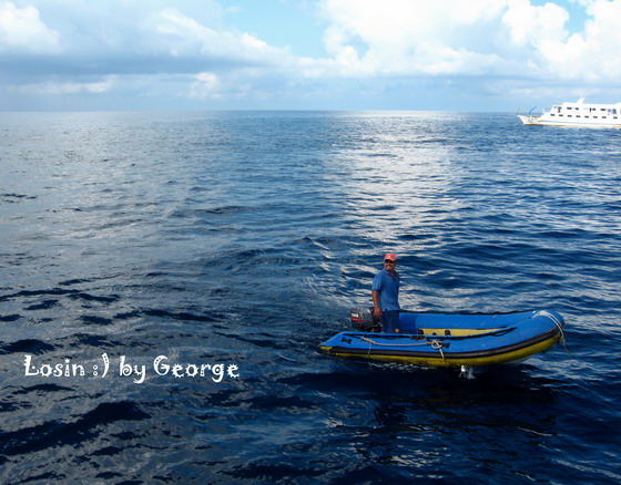 โลซิน โลซิน