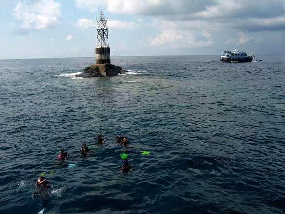 โลซิน โลซิน