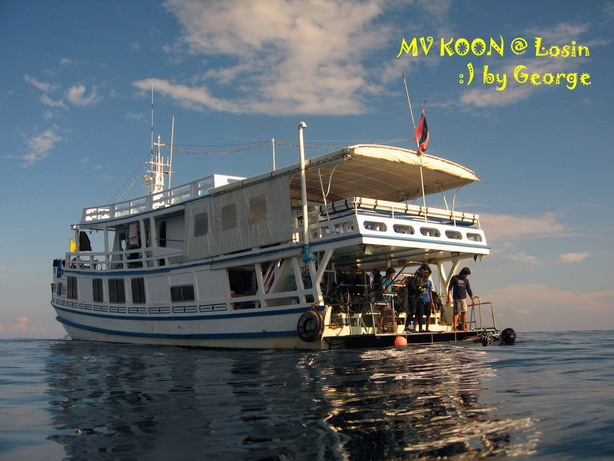 โลซิน โลซิน