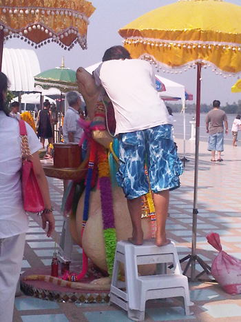 หนูมุสิกะ หนูมุสิกะ