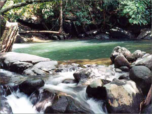 อุทยานแห่งชาติเขาชะเมา-เขาวง อุทยานแห่งชาติเขาชะเมา-เขาวง