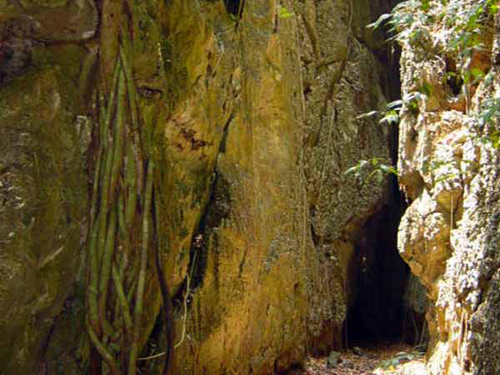 อุทยานแห่งชาติเขาชะเมา-เขาวง อุทยานแห่งชาติเขาชะเมา-เขาวง