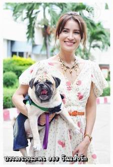 365 วันแห่งรัก