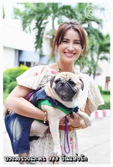 365 วันแห่งรัก