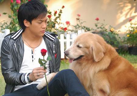 ดอกรักริมทาง