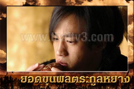 ยอดขุนพลตระกูลหยาง