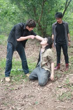 หอบรักมาห่มป่า