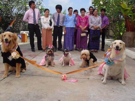 สมหวังสู้สู้