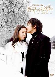 สุดปลายฟ้า สัญญารักนิรันดร์ Tree In Heaven