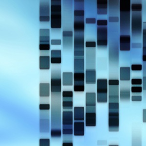 ลายพิมพ์ DNA