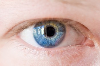 ตาขี้เกียจ